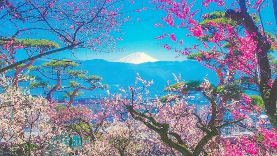 Pension Mozart Yamanakako Buitenkant foto